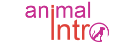 Animal Intro