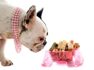 Simmons Pet Food: A Comprehensive Guide