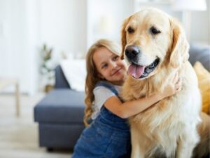 Best Friends Animal Hospital: A Guide to Exceptional Pet Care