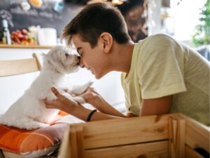 Exploring Animal Shelters: A Beacon of Hope for Homeless Pets