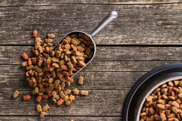 Organic dog food benefits