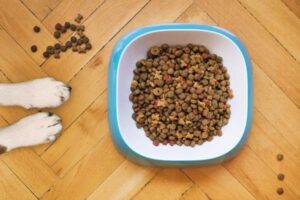 5 Vet-Approved Homemade Dog Food Recipes